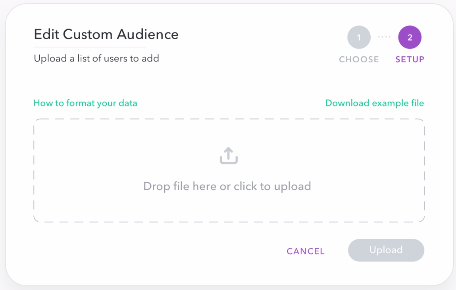 edit custom audience - snap ad