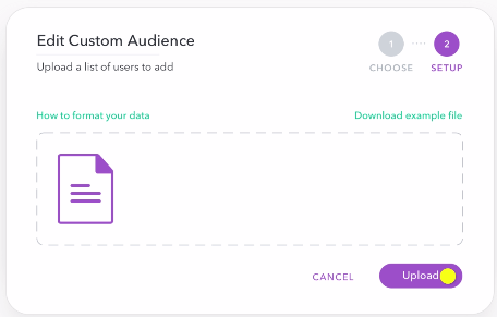 edit custom audience pt. 2 - snap ad