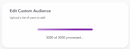 edit custom audience pt. 3 - snap ad