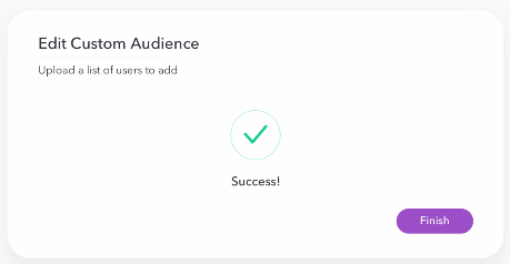 edit custom audience pt. 4 - snap ad