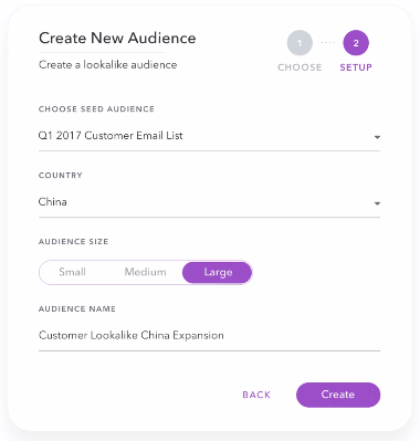 lookalike custom audience