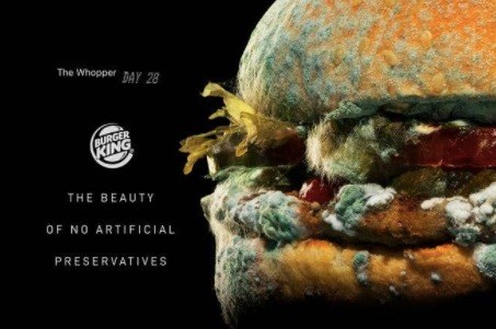 Burger King's 'Whopper' ad displaying a moldy burger with the text "The beauty of no artificial preservatives"